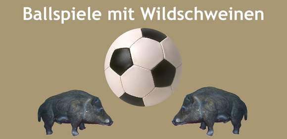 Ballspiele mit Wildschweinen