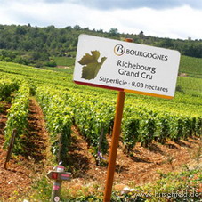 4-tägige Gourmetreise ins traumhafte Burgund 4-tägige Gourmetreise ins traumhafte Burgund