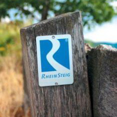 Rheinsteig Den Rheinsteig im Team entdecken