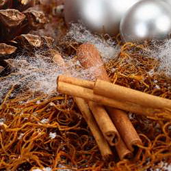 Weihnachtsdekoration Winter-BBQ mit Rahmenprogramm