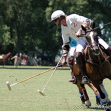 Thomas Winter Polo-VIP-Pakete