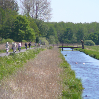 Radtour Radtour um den Dümmer See!