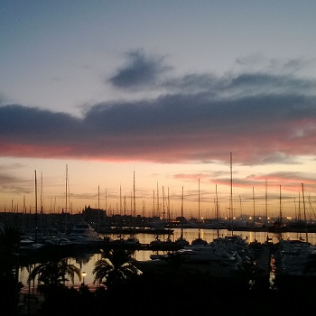 Blick von der Hotelterrasse Mallorca - Meeting & Me(e)hr