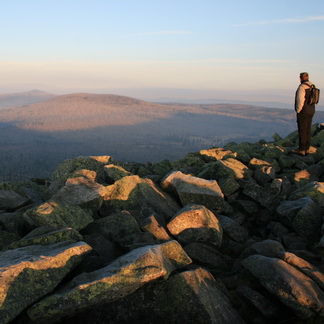 Nationalpark Baumwipfelpfad mit Nationalparkbesichtigung