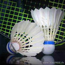 Beach Olympiade Team Challenge & Beach Party