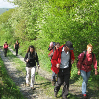 Wanderung zum Teamevent Moselsteig & Weinscheune