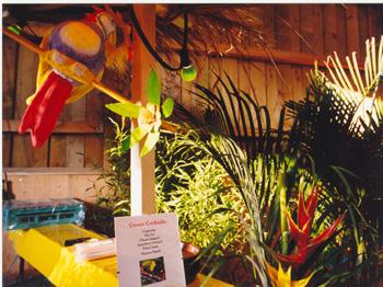 Caribbean Feeling - Sommerfest Caribbean Feeling - Sommerfest