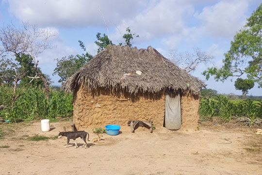 Kleine Hütte aus Lehm in Kenia