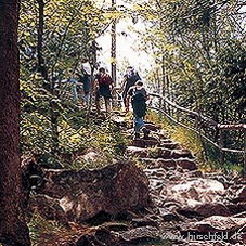 Wandern Ein Bayerisch-Blaues Wochenende