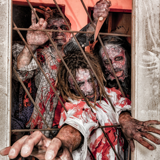 The living Dead Experience The living Dead Experience