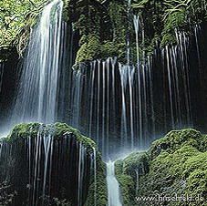 Wasserfall 3-Länder-Fahrt an den Bodensee