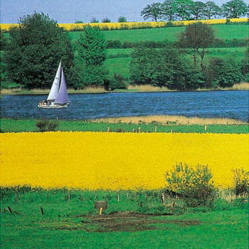 Betriebsausflug: Wunderschöne Schlei Betriebsausflug: Wunderschöne Schlei