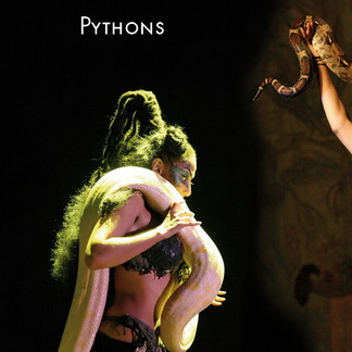 Schlangentanz mit 7 Boas, Pythons & Nattern Schlangentanz mit 7 Boas, Pythons & Nattern