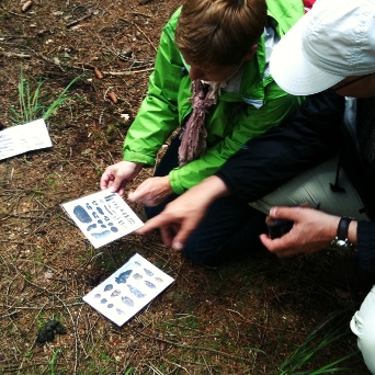Spurensuche Kooperatives Spurenlesen im Wald