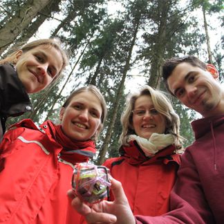 Indoor und Outdoor Teambuilding Indoor und Outdoor Teambuilding - Tagespaket