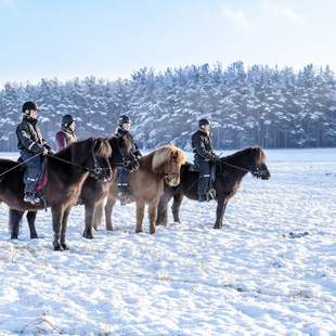 Winter am Reiterhof Groß Briesen