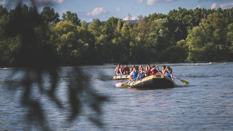 Rafttour Oberrhein - Wasser und Wein