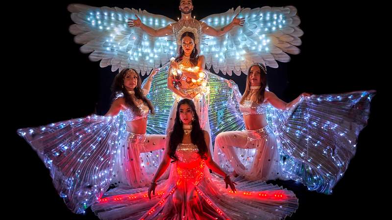 Bollywood Dance & LED Shows