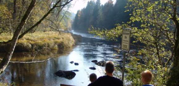 Baumwipfelpfad mit Nationalparkbesichtigung