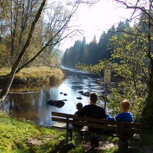 Nationalpark Baumwipfelpfad mit Nationalparkbesichtigung