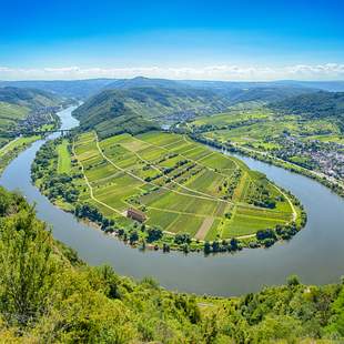 Mosel All Inclusive mit Weinprobe