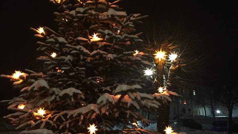 Weihnachtsbaum Herrnhut Herrnhuter Weihnachtszauber
