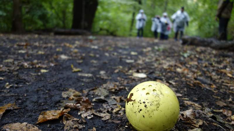 Boßeln - der Friesensport in Berlin