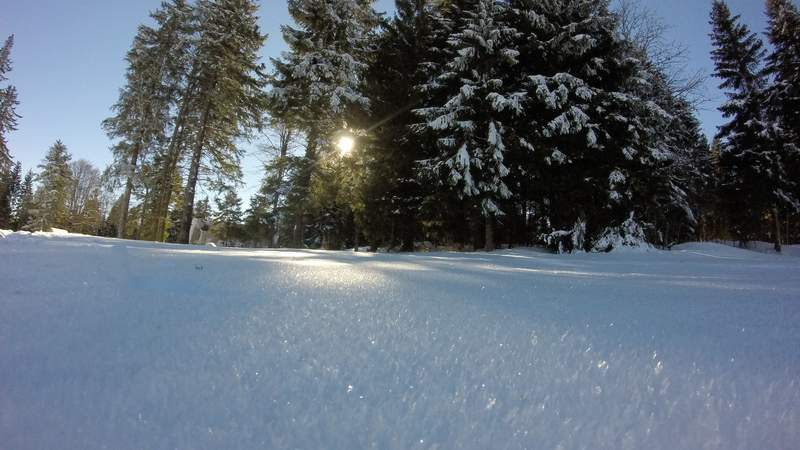 Schlittenfahren Schwarzwald Hohtann