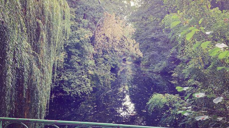 Geocaching+ im Berliner Tiergarten