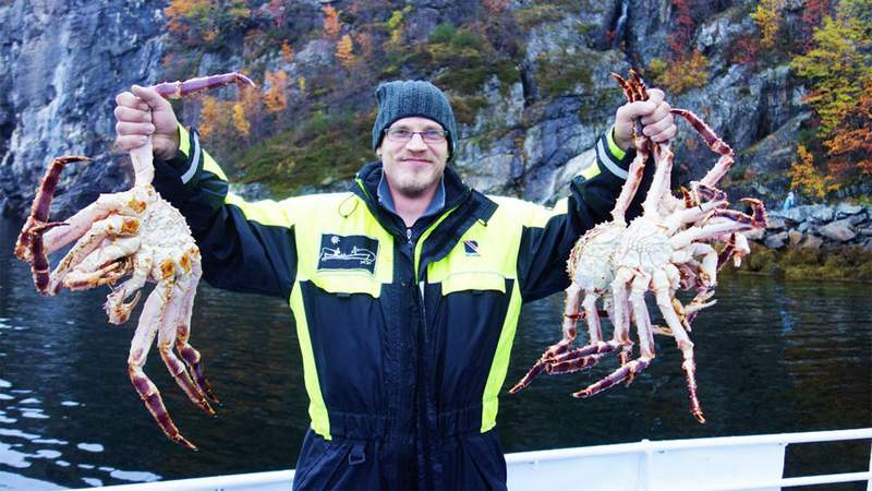 King Crab 3-tägige Nordkap Reise