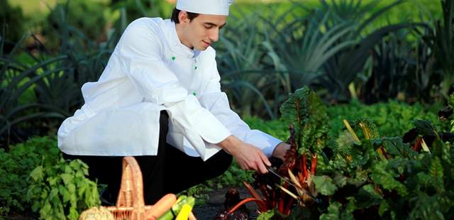 Teamkochevent „Jetzt wird's wild“ Teamkochevent „Jetzt wird's wild“