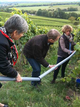 Wein-Winzer Challenge im Rheingau