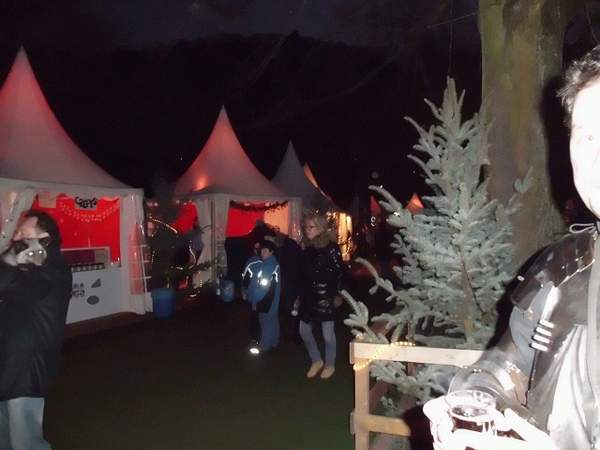 Heidelberger Weihnachtsführung am Schloss