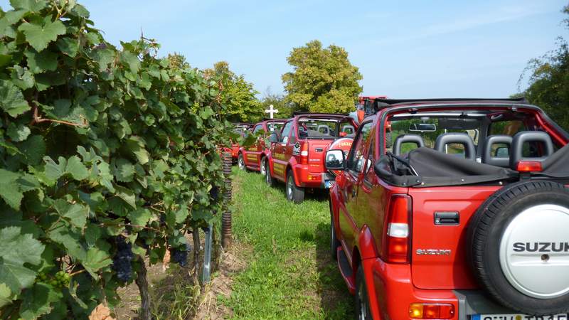 Wein-Safari mit Cabrio-Jeeps (pilotiert!)