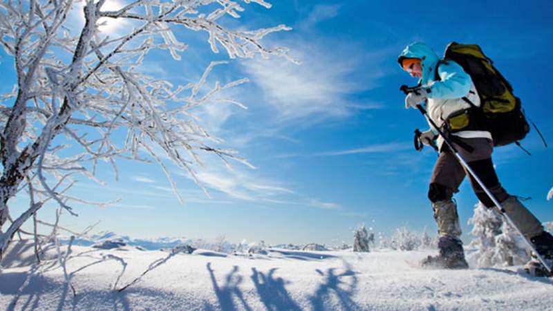 Schneeschuhwanderung Schneeschuhwanderung