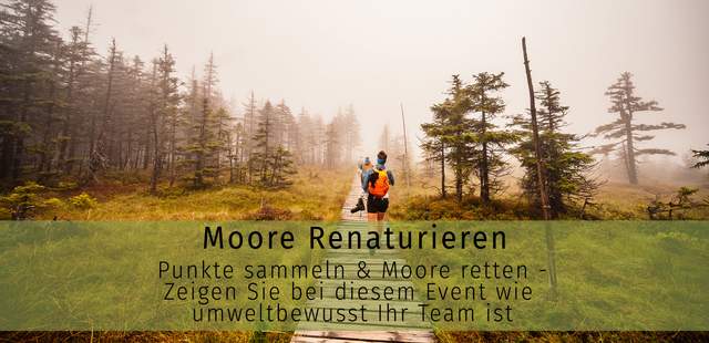 Moore sind unterschätzte Lebensräume - Ihr Schutz und die Renaturierung tragen dazu bei, das Klima zu retten