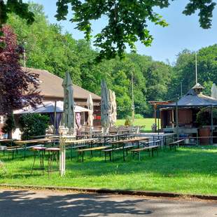 Teamtag oder Sommerfest im Stadtwald