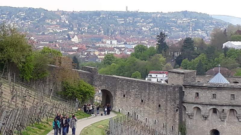 Weinbergsrallye mit Verkostung