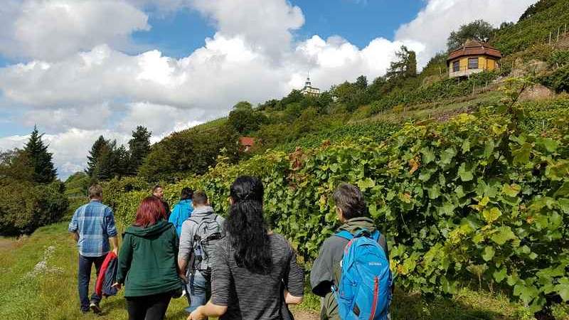 Kulinarische Weinwanderung in Radebeul
