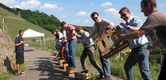 Weingut Weinberg Teambuilding Natur