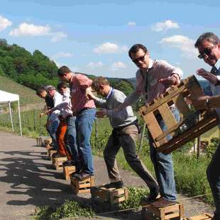 Weingut Weinberg Teambuilding Natur