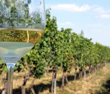 Rheinhessen - Naheland Betriebsausflug