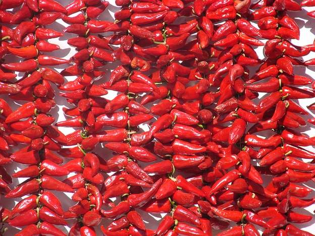Piment d‘Espelette aus dem Baskenland