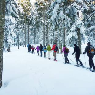 Schneeschuhwandern am Feldberg im Schwarzwald