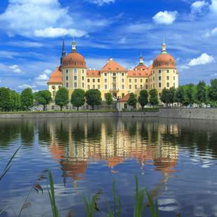 Barockschloss Moritzburg moritzburg, schloss, kutschfahrt, ausstellung, pferdezucht
