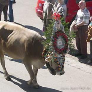 “Zillertaler Bauernherbst”