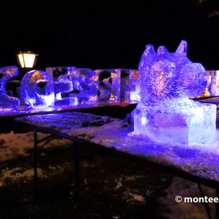 Eisskulpturen Workshop Team Event