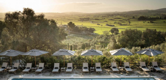 Business Mastermind Mallorca