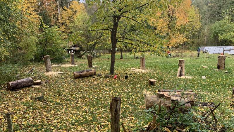 Baumhöhle für wild lebende Honigbienen bauen