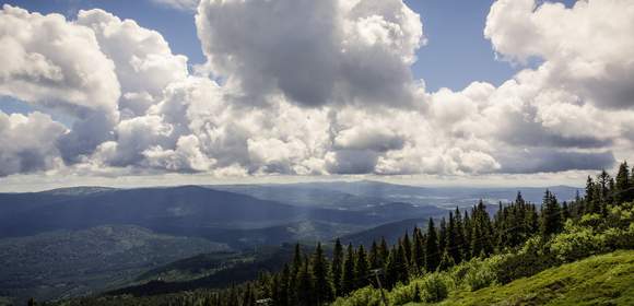 Wald in Bayern, Gebirge
